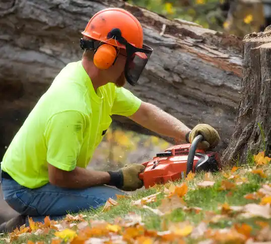 tree services Pomeroy